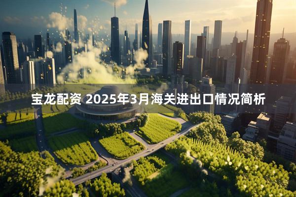 宝龙配资 2025年3月海关进出口情况简析