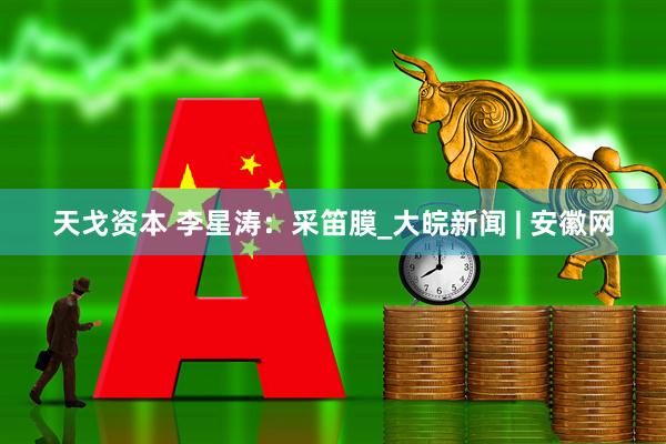 天戈资本 李星涛：采笛膜_大皖新闻 | 安徽网
