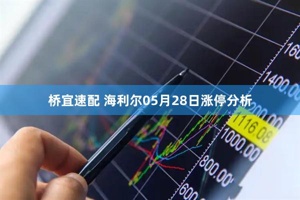 桥宜速配 海利尔05月28日涨停分析