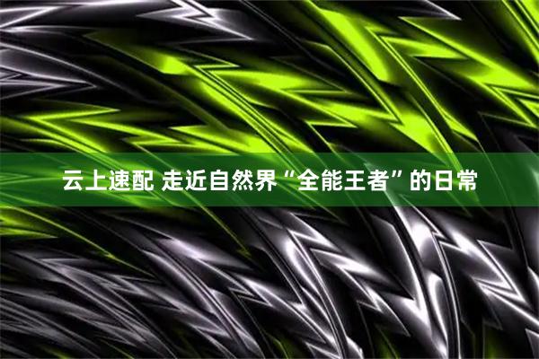 云上速配 走近自然界“全能王者”的日常