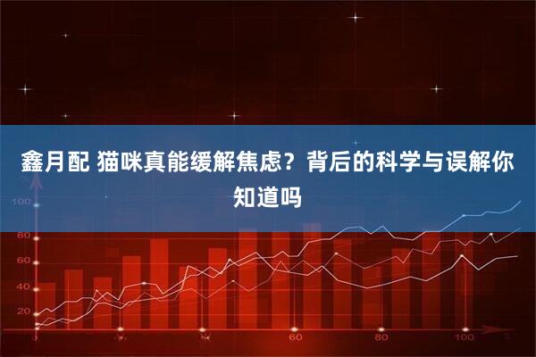 鑫月配 猫咪真能缓解焦虑？背后的科学与误解你知道吗