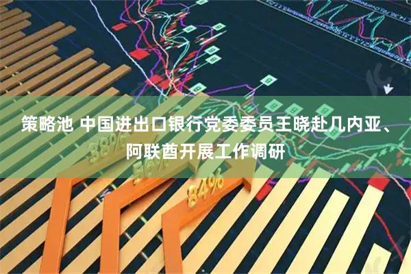 策略池 中国进出口银行党委委员王晓赴几内亚、阿联酋开展工作调研