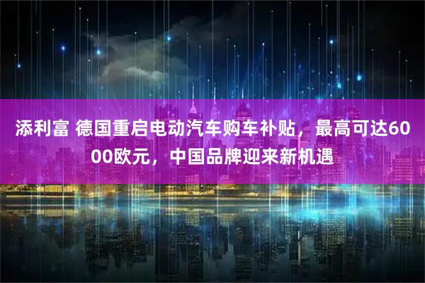 添利富 德国重启电动汽车购车补贴，最高可达6000欧元，中国品牌迎来新机遇